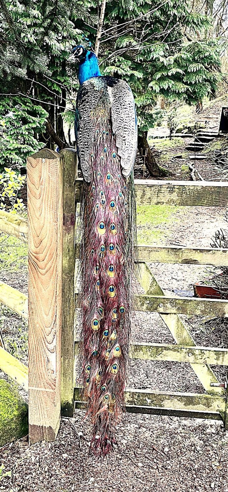 Lane House Barn Villa Todmorden Dış mekan fotoğraf